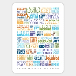 Animal Offspring Terminology - Animal Baby Names - Funky Font Edition Sticker